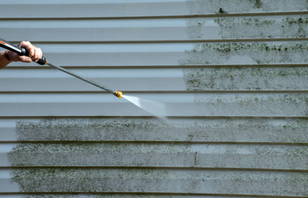 Best Sidewalk Pressure Washing  in Paw Paw, MI