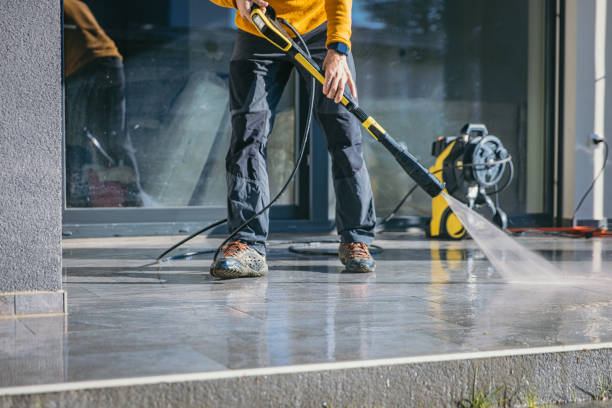 Best House Pressure Washing  in Paw Paw, MI