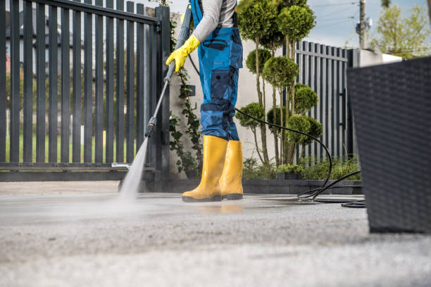 Best Fence Pressure Washing  in Paw Paw, MI