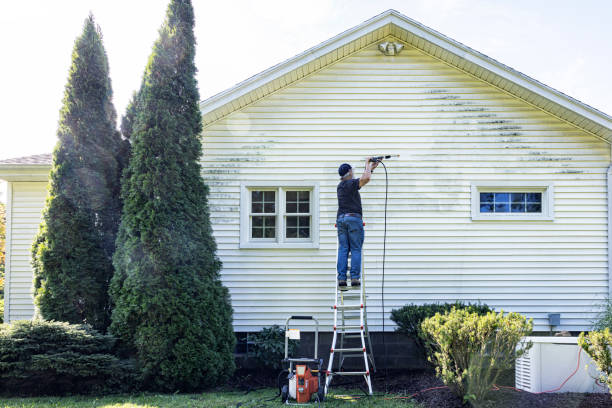 Best Roof Power Washing Services  in Paw Paw, MI