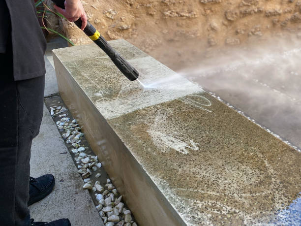 Best Power Washing Near Me  in Paw Paw, MI