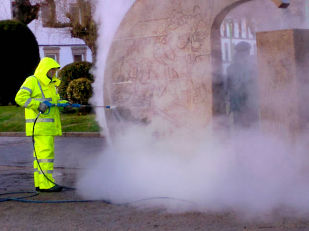 Best Power Washing Near Me  in Paw Paw, MI