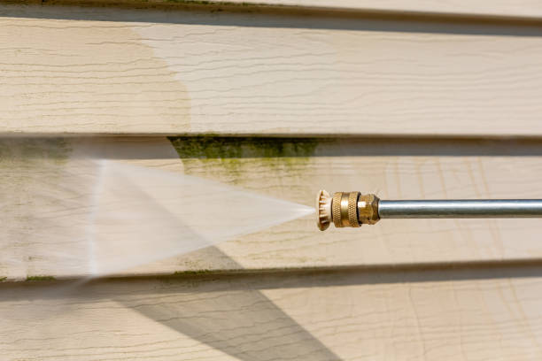 Local Pressure Washing Services in Paw Paw, MI